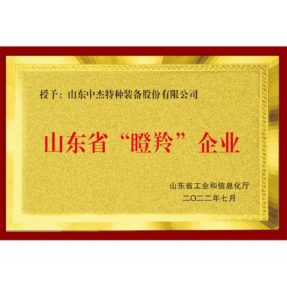 山东省瞪羚企业